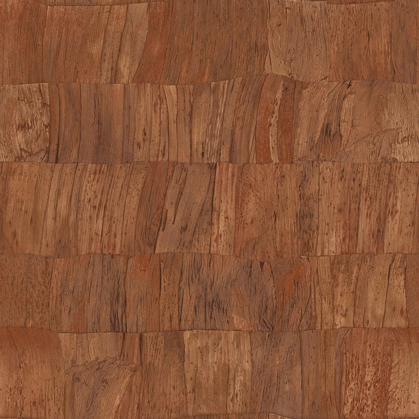 Collection Selva - Pattern Capas