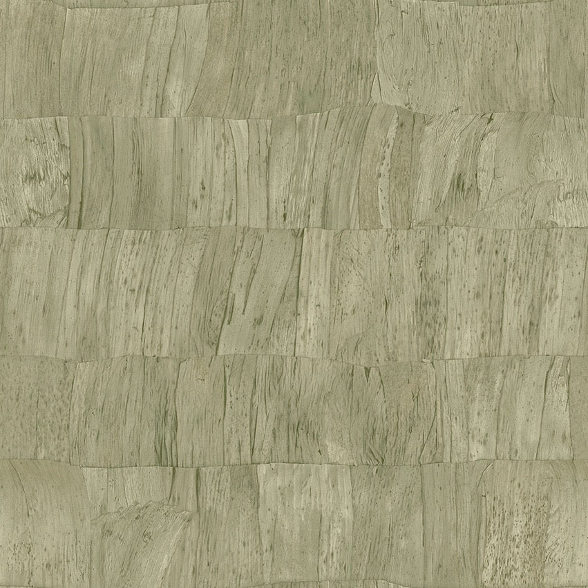 Collection Selva - Pattern Capas