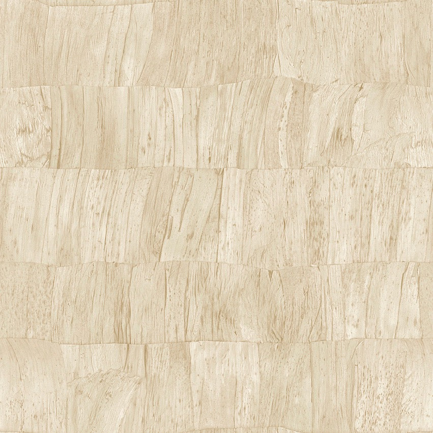 Collection Selva - Pattern Capas
