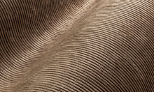 Carregar imagem no visualizador da galeria, Collection Lush - Pattern Corduroy
