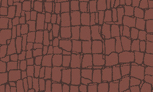 Collection Manovo - Pattern Croc