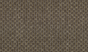 Collection Wildwalk - Pattern Ferox