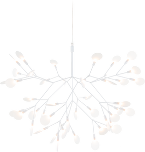 Heracleum II Suspended