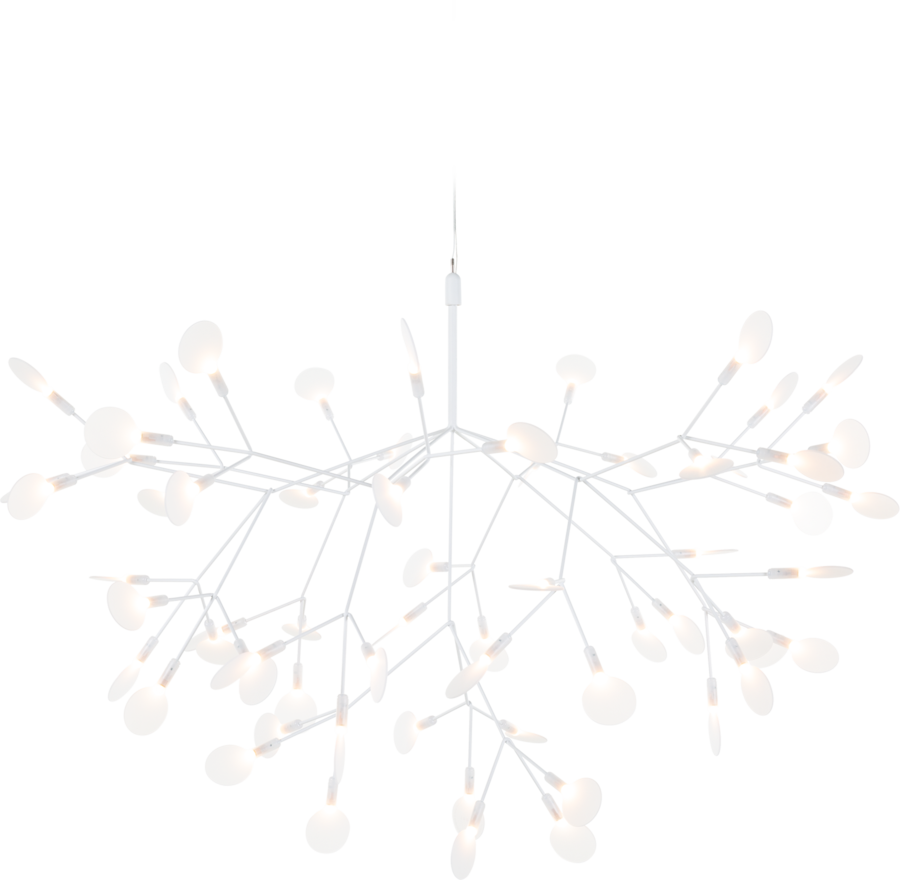 Heracleum II Suspended