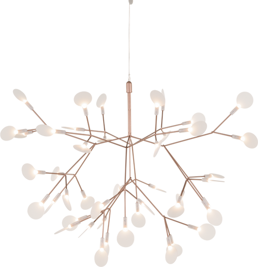 Heracleum II Suspended