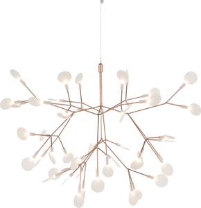 Heracleum II Suspended