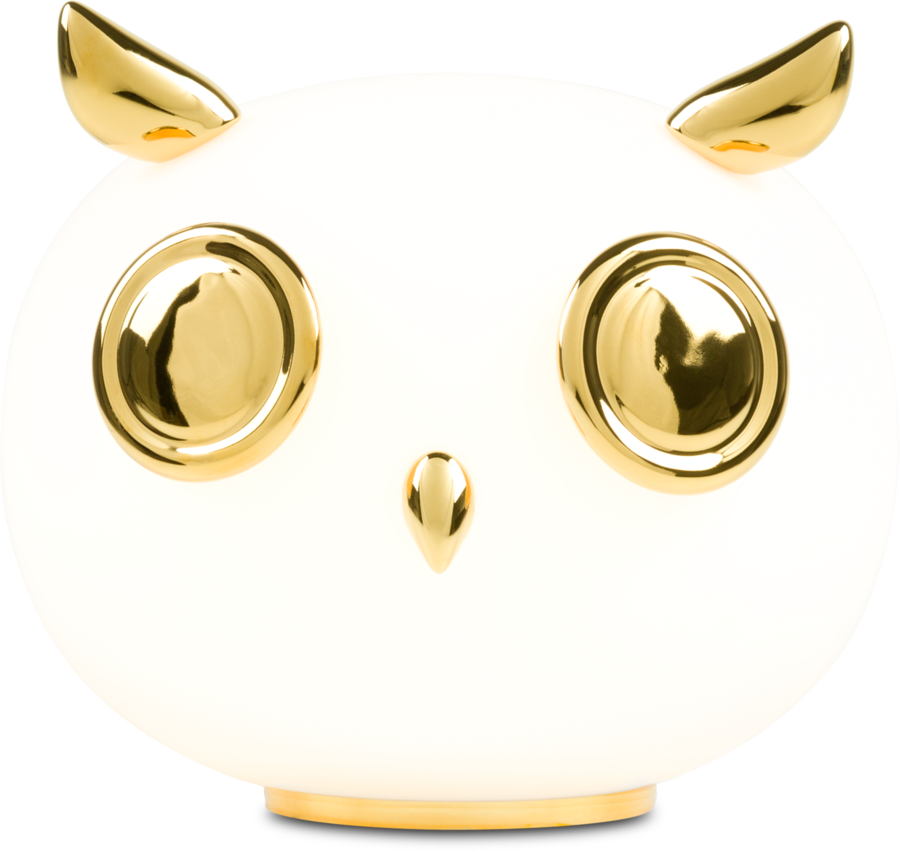 Pet light