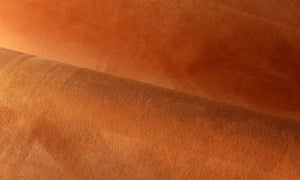 Collection Wildwalk - Pattern Noble
