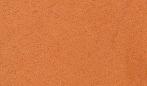 Collection Wildwalk - Pattern Noble