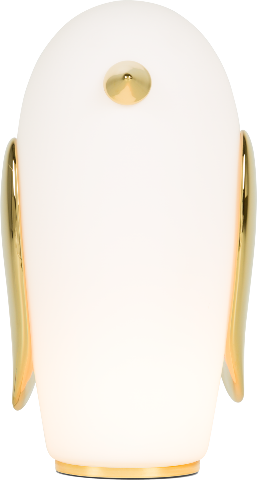Pet light
