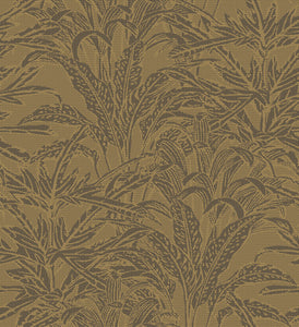 Collection Manovo - Pattern Savanna