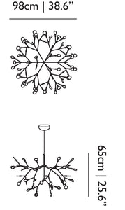 Heracleum II Suspended